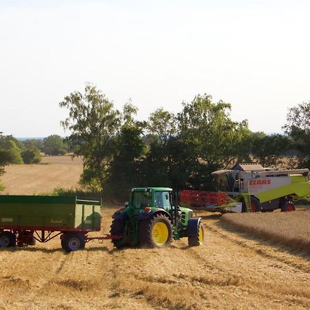 Backhaus Meeresblick Meeschendorf Exteriör bild